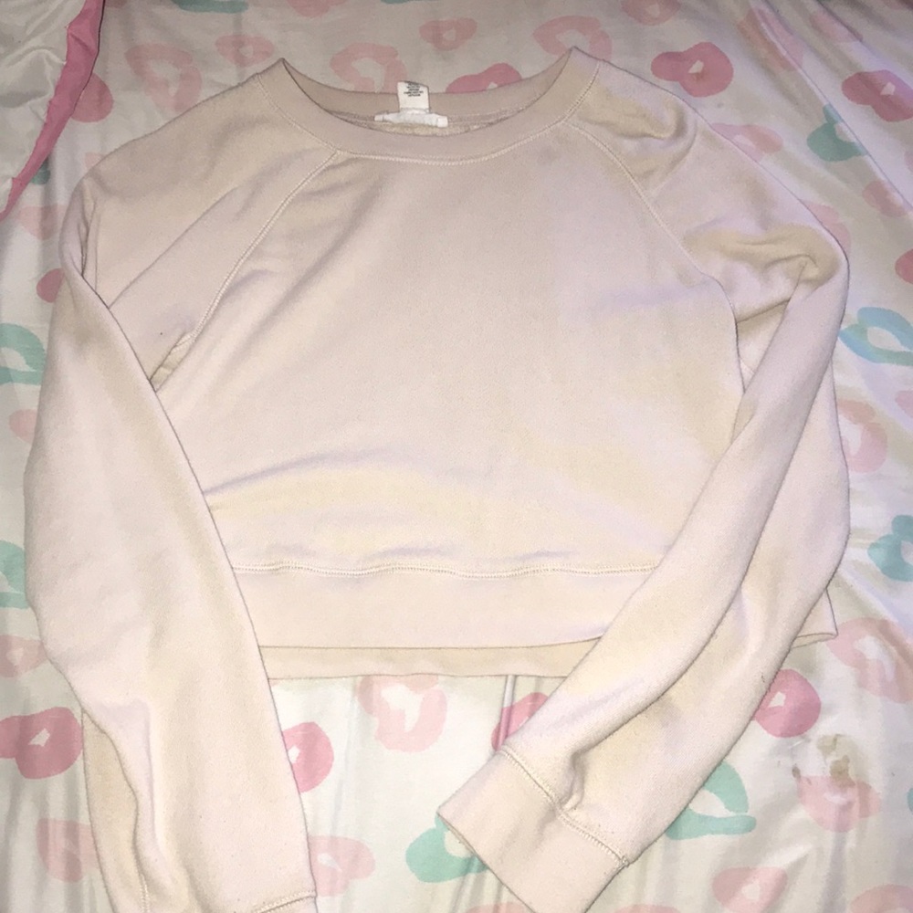 Tan Long Sleeve Crop Top
